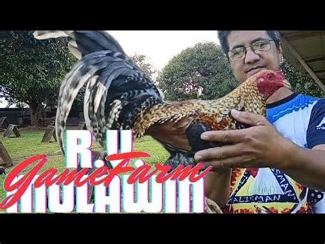 R.V. Mulawin GameFarm Full Tour Visit .